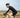 De beste gravel handschoenen